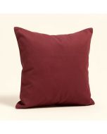 Sunbrella® Indoor/Outdoor Throw Pillow (synthetic illustration; no displayed measurements)