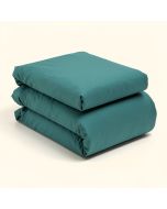 Springs Ii Farmhouse Duvet Cover Set (synthetic illustration; no displayed measurements)