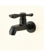 Voss 2-Handle Wall Mounted Bathroom Faucet (synthetic illustration; no displayed measurements)