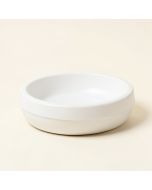 Healthy Pet Automatic Water Dish (synthetic illustration; no displayed measurements)