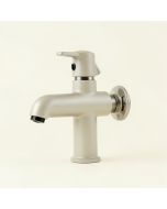 Zura Wall Mounted Bathroom Faucet With Drain Assembly (synthetic illustration; no displayed measurements)