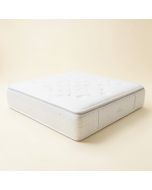 Sealy Conform™ Essentials 9.5 '' Firm Memory Foam Mattress (synthetic illustration; no displayed measurements)