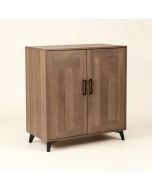 Miya 2 Door Accent Cabinet (synthetic illustration; no displayed measurements)