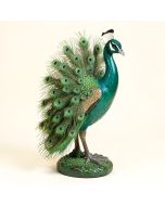 Peacock Plumage Garden Statue (synthetic illustration; no displayed measurements)