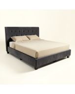 Burrus Upholstered Low Profile Standard Bed (synthetic illustration; no displayed measurements)
