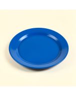Sailin 8.5 '' Melamine Salad/Dessert Plate (synthetic illustration; no displayed measurements)