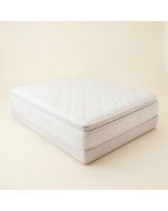 Sealy Conform Essentials Split California King 9.5 '' Firm Memory Foam Mattress (synthetic illustration; no displayed measurements)