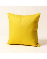Witzel Dinosaur Expert Throw Pillow (synthetic illustration; no displayed measurements)