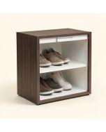 Gavin 9 Pair Shoe Storage Cabinet (synthetic illustration; no displayed measurements)