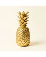 Alderete Pineapple (synthetic illustration; no displayed measurements)