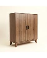 Xander 2 Door Accent Cabinet (synthetic illustration; no displayed measurements)