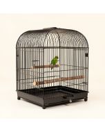 Bremond 23.6 '' Iron Play Top Travel Parrot & Conure With Perch (synthetic illustration; no displayed measurements)