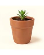 Park Lane Pot Planter (synthetic illustration; no displayed measurements)