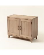 Jace 2 Door Accent Cabinet (synthetic illustration; no displayed measurements)