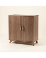 Ammon 2 Door Accent Cabinet (synthetic illustration; no displayed measurements)