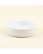 Automatic Water Dish (synthetic illustration; no displayed measurements)