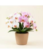 Faux Orchid Floral Arrangement In Planter (synthetic illustration; no displayed measurements)