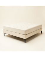 Leonard Tufted Upholstered Platform Bed (synthetic illustration; no displayed measurements)