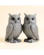 2 Piece Ogling Outdoor Owl Garden Statue Set (synthetic illustration; no displayed measurements)