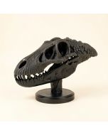 Dinosaur Skull With Base (synthetic illustration; no displayed measurements)