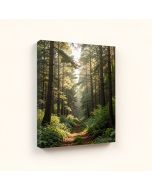 Beautiful Forest Morning Panorama - Wrapped Canvas Photographic Print (synthetic illustration; no displayed measurements)